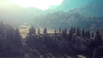 Alpes suíços com prado alpino verde em uma encosta e cercado por florestas video