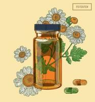 Feverfew flowers and brown glass vial and pills, hand drawn illustration in a retro style