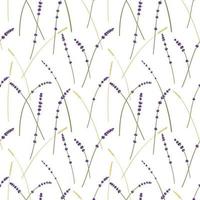 Lavender and wheat pattern, white background, provance seamless pattern vector