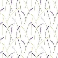 Lavender and wheat pattern, white background, provance seamless pattern vector