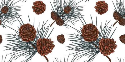 White seamless pattern of Christmas cedar branches with cones vector