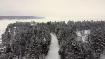 vista aérea del paisaje invernal en un día nublado y nevado de un bosque de hadas y un lago congelado de invierno. video