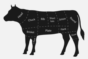 Cuts of beef vector