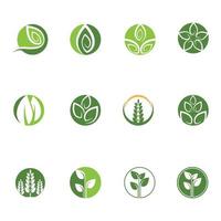 logotipos de vector de elemento de naturaleza de ecología de hoja de árbol verde