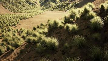 Red Rock Canyon National Park video