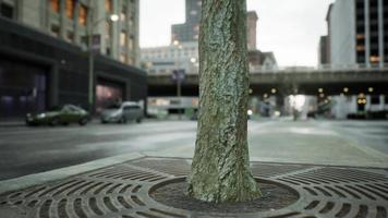 deslumbrante hiper lapso do centro da cidade video