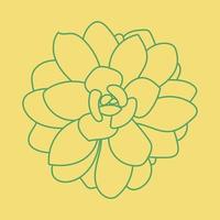 Doodle Succulent green Flower. Desert flower for print and design. Pattern. Modern background. vector