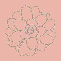 Vector illustration of succulent isolated on a pink background. Doodle sketch. Pattern.