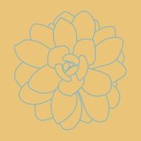 Desert flower for prints and designs. Cute pattern. Doodle Succulent Flower.