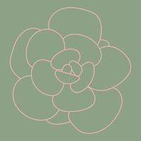 Doodle Succulent red Flower. Desert flower for print and design. Pattern. vector