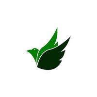 bird logo illustration vector