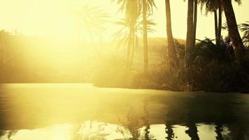 farbenfrohe Szene mit einer Palme über einem kleinen Teich in einer Wüstenoase