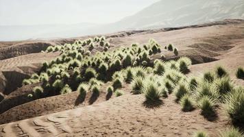 parc national du canyon des roches rouges video