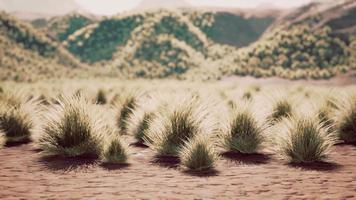 Gobi Desert landscape in Mongolia video