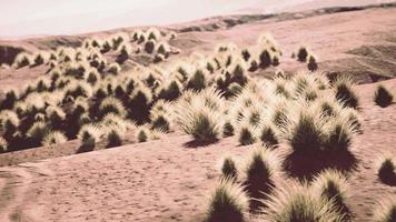 gobi-woestijnlandschap in mongolië video