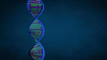 Long blue DNA chain made up of blue lines and genes in green, orange and purple colors rotating on dark blue background. Loop sequence. 3D Animation video