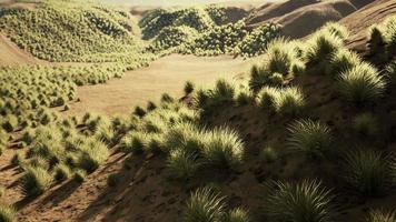 paisaje del desierto de gobi en mongolia video