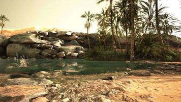 scène colorée avec un palmier au-dessus d'un petit étang dans une oasis du désert video