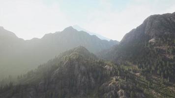 alpes suizos con prado alpino verde en una ladera y rodeado de bosques video