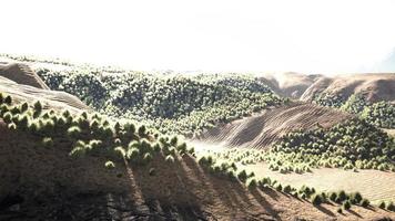 paysage du désert de gobi en mongolie video