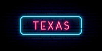 Texas neon sign. vector