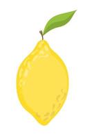 Vector image of a lemon. Color vector illustration, icon, for product design, printing on textiles, business cards, logo, tattoos