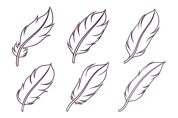 set of hand drawn feather illustration