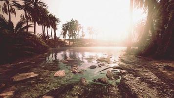 Colorful scene with a palm tree over a small pond in a desert oasis video