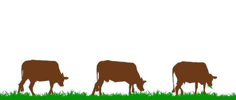 Cow silhouette. Cow grazing on the meadow, and eating green grass. Vector illustration.