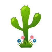 Vector cute cactus in cartoon style. Illustration of a desert plant Isolated on white background.