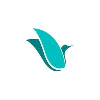 bird logo illustration vector