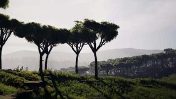 árboles de acacia dispersos distantes que cubren las colinas en el paisaje africano en namibia video