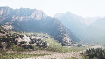 schweiziska alperna med grön alpin äng på en sluttning och omgiven av skogar video