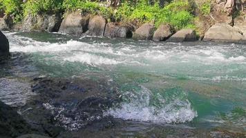 tiro constante de fluxo de água. rafting esportivo nos rios. bela vista da água do rio fluindo video