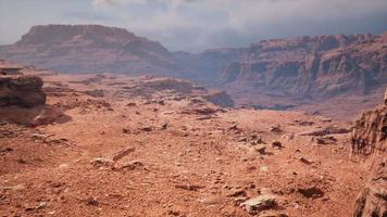 Grand Canyon no Arizona em dia ensolarado video