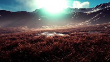 Stones covered with grass and moss under bright sky of Nepal video