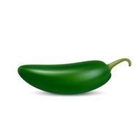 realistic Green hot natural jalapenoi pepper vector