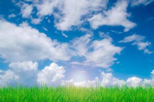 Grass field and sky with bright clouds for the background in the project. photo
