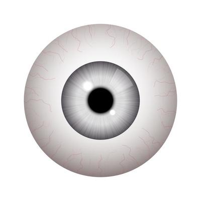 Realistic human eyeball