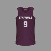 camiseta de baloncesto realista vector