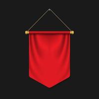 Empty 3D Pennant template vector
