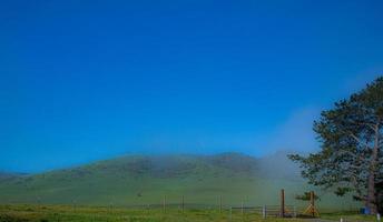 Rolling green hills blue sky California nature beautiful photo