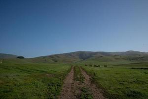 Rolling green hills country road California photo