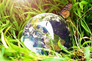 The crystal ball with the world on the grass. concept of the world and nature photo