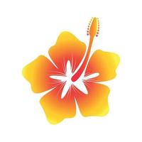 ilustración de flor de hibisco amarillo hawaiano. vector
