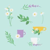 Herbal tea set vector