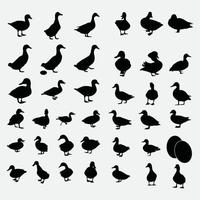 Vectores de silueta de pato negro