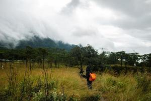 woman are traveling in the rain forest with beautiful nature. Girl go on a journey through the forest. photo