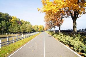 carretera asfaltada hasta el horizonte en el parque, bosque. concepto de camino correcto foto