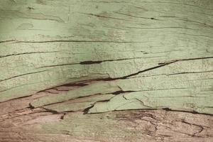 Green Aged Rustic Wood Background photo